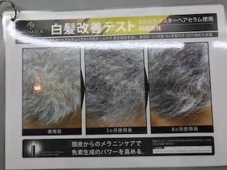 IMG_0470.JPG ayai.JPG